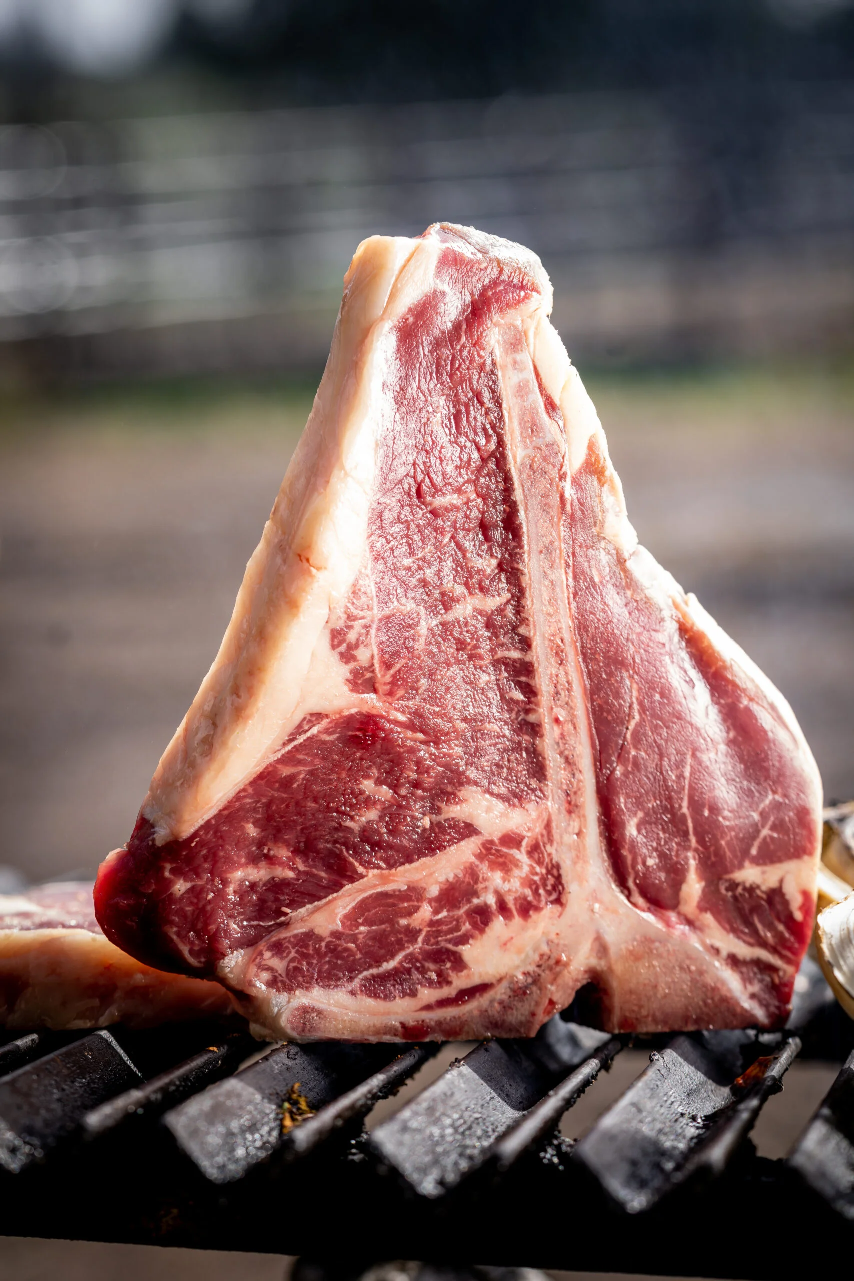 פורטרהאוס אווירה