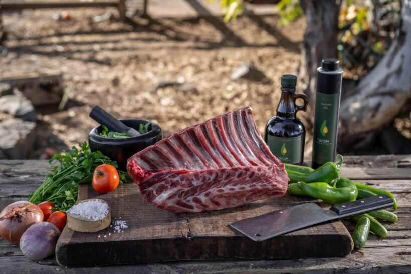 שדרת צלעות טלה 1