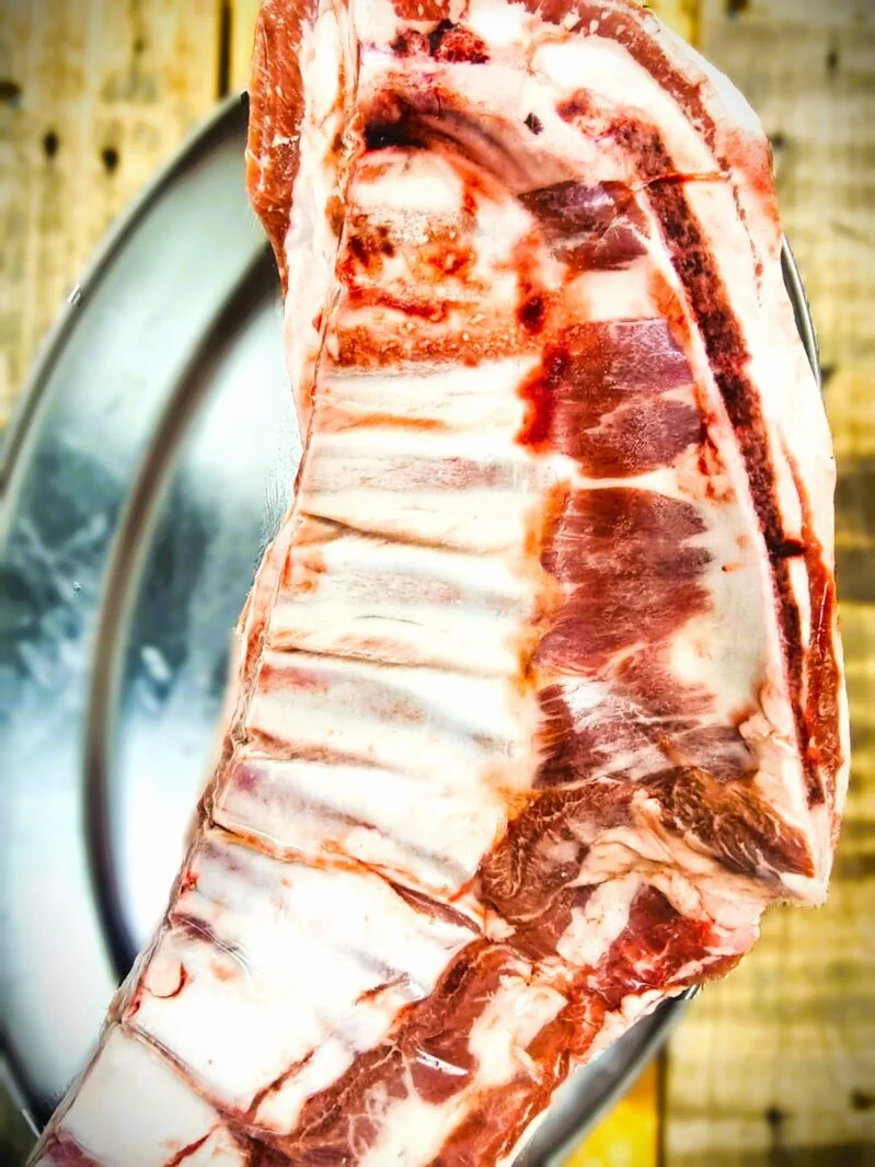 אסאדו טלה מרעה גולן 1