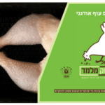 כרעיים חי בריא