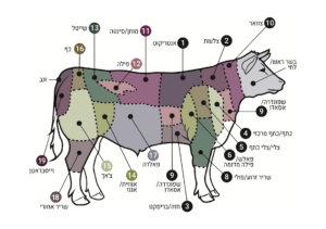 צילום מסך 2024 08 04 ב 20.07.39