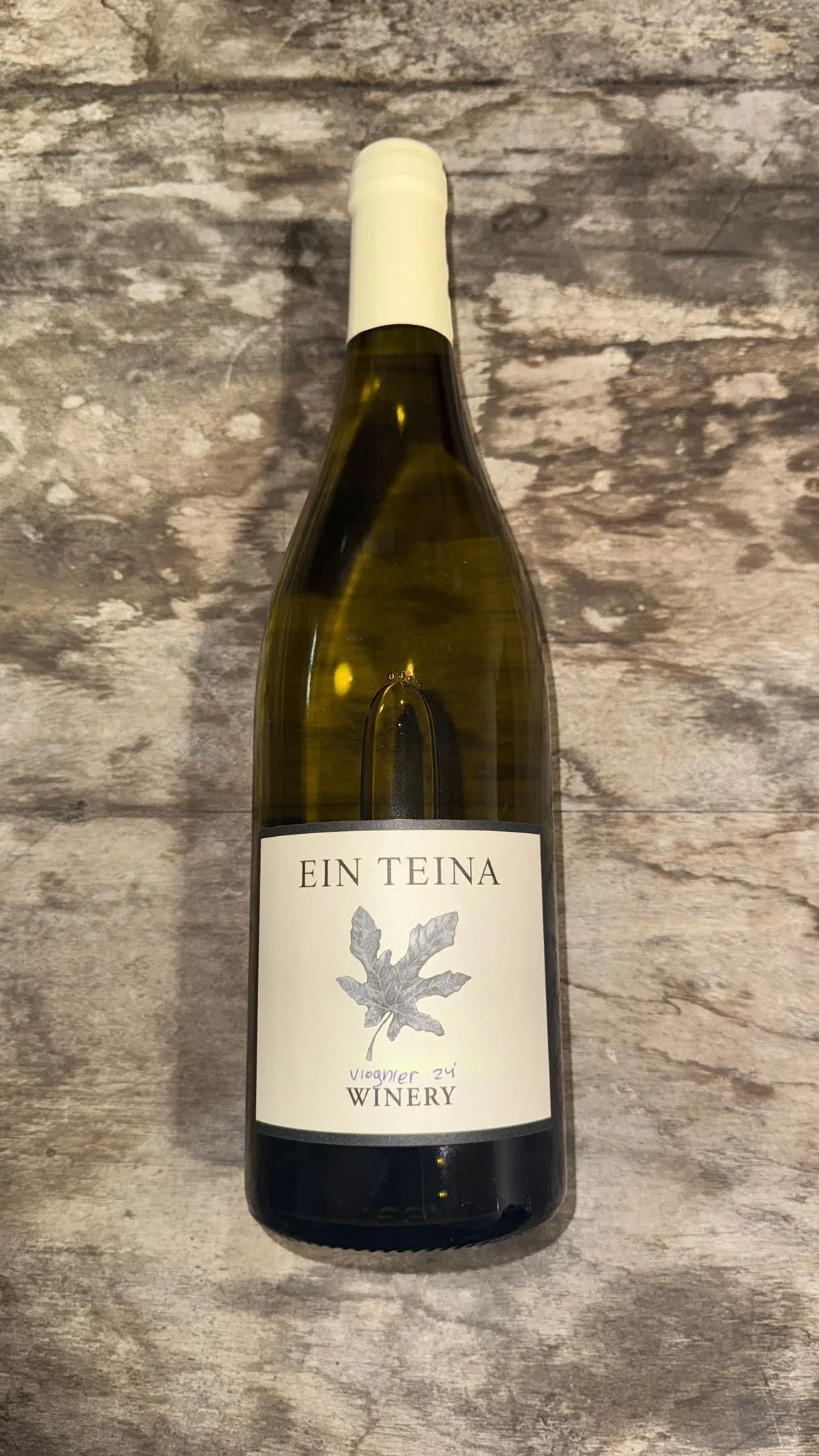 ויונייה עין תאנה מוקטן לאתר