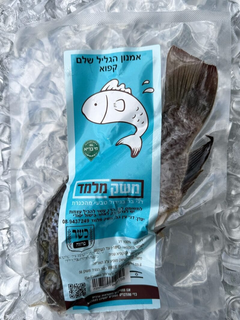 אמנון הגליל שלם קפוא מוקטן לאתר