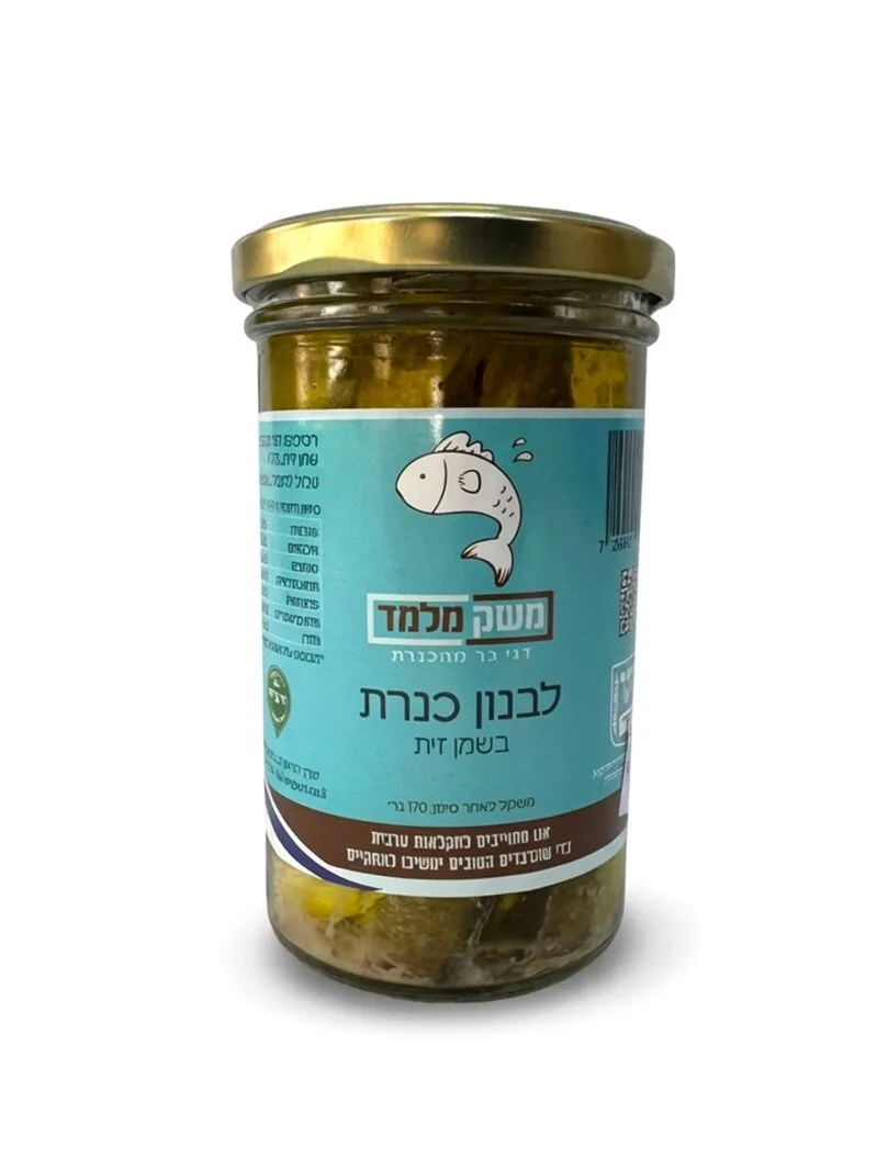 לבנון כנרת בשמן זית מוקטן לאתר