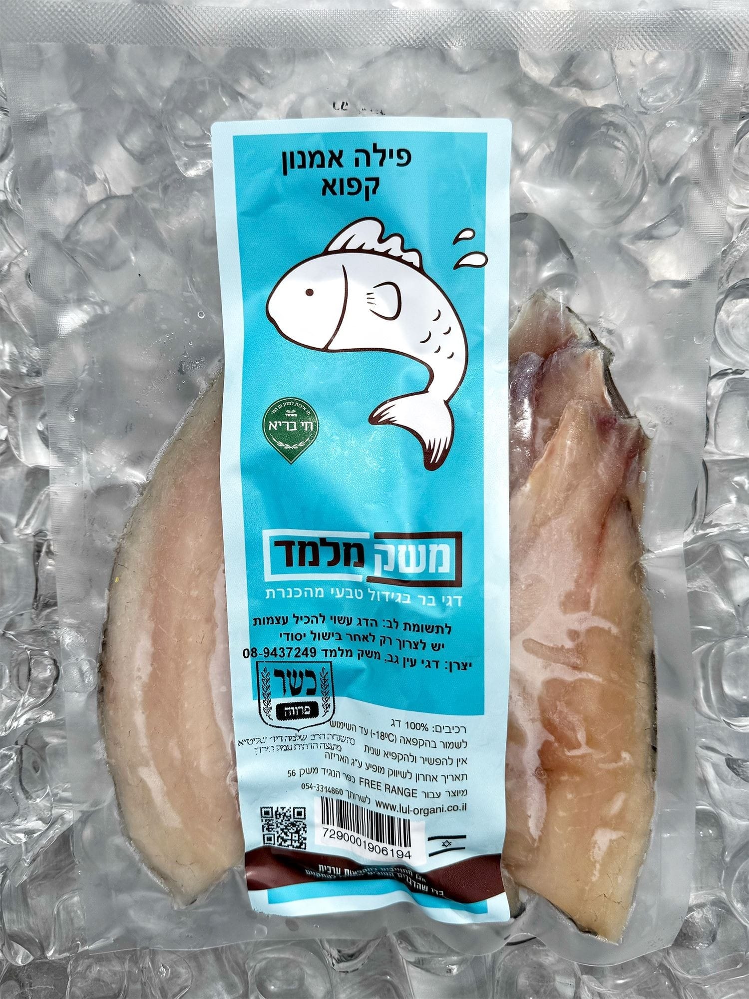 פילה אמנון קפוא מוקטן לאתר