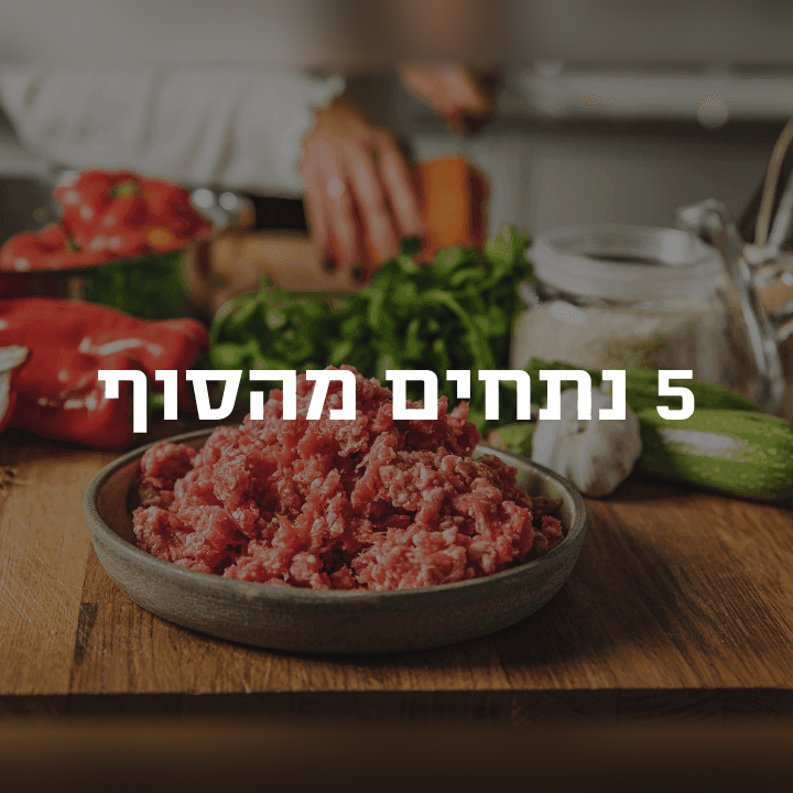 באנר 5 נתחים ריבוע
